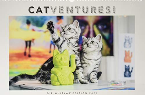 Whiskas katt kalender 2021