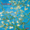 van Gogh – From Vincent's Garden 2025: Kalender 2025 (Tushita Fine Arts)