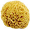 Unbleached Honeycomb Natural Sea Sponge - 100% Natural, Organic, Strong, Durable, Hypoallergenic -for Children and Adults - Used in Bath, Shower, Cleansing, Exfoliating, Art, Pets, Gift (Small)