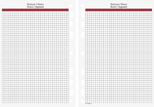 Rido/idé (7065450) Notizen kariert für A5 Ringbuch/Timer/Timing 1 (148 x 210 mm) 24 Blatt
