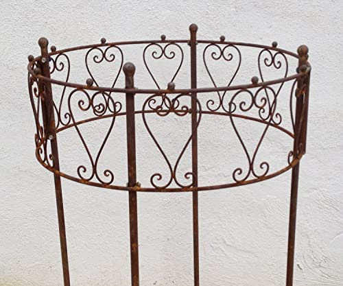 Gabella Rankgitter Pflanzenhalter Rankhilfe Staudenhalter Riviera 60 Dahlie Rost/Roh