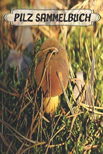 Pilz Sammelbuch: Pilzsammler können sich freuen. Endlich gibt es ein Journal wo man die Fundorte, Gps Daten Wetter etc eintragen kann. Da Pilze im ... mit unseren Pilz Sammelbuch leicht wieder 01