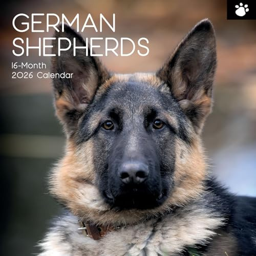 The Gifted Stationary 2026 Square Wall Calendar, German Shepherds, 16-Month Animal Theme Hanging Calendar with 180 Reminder Stickers, Month Planner for Home, or Creative Spaces, 12x12 In