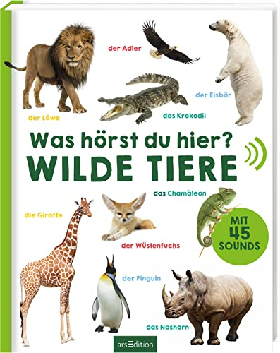 Was hörst du hier? – Wilde Tiere: Mit 50 Sounds | Hochwertiges Soundbuch mit realistischen Sounds für Kinder ab 24 Monaten