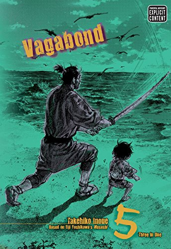 Vagabond (VIZBIG Edition), Vol. 5: Glimmering Waves: Volume 5