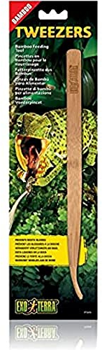 Exo Terra Tweezers, Futterpinzette, Fütterungszange, aus umweltfreundlichem Bambus, 1 Stück (1er Pack)