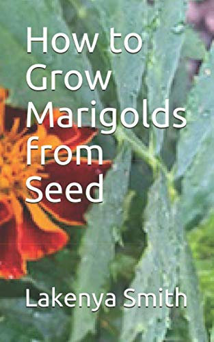 How to Grow Marigolds from Seed