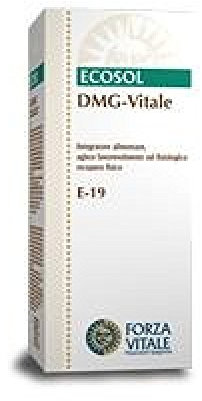 FORZA VITALE ITALIA Srl