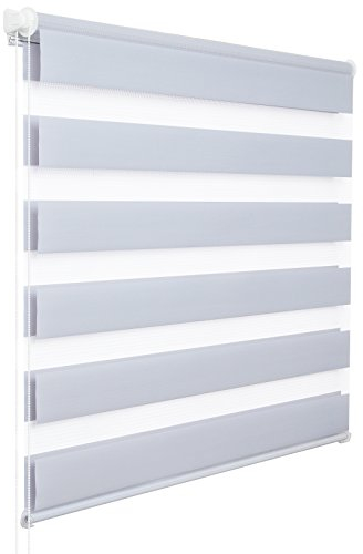 WOLTU Doppelrollo Klemmfix ohne Bohren Grau B75 x H150 cm, Duo Rollo lichtdurchlässig Fensterrollo für innen verdunkelnd, Zebrarollo mit Kettenzug - Seitenzugrollo für Fenster und Tür
