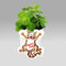 Exotenherz - Coleus canin - Verpiss-Dich - Pflanze - 8 Pflanzen