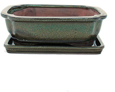 exotenherz Bonsaiskål med fat storlek 3 olivbrun fyrkantig modell G12 L 18 cm B 14 cm H 5,5 cm
