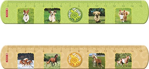 Baier & Schneider Lineal (Büro, Schule) 15cm Flexi Fans of Earth, PVC, 15 cm, sortiert 2 Motive