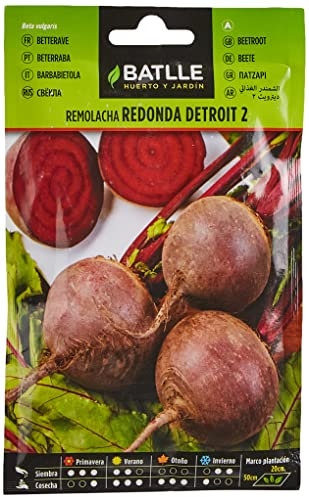 Semillas Batlle Table Betterave Detroit 2