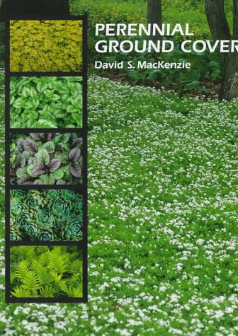 Perennial Ground Covers