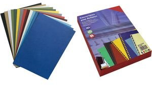 Exacompta 2798C - 100 Plats de couverture pour reliures A4 270g Vert