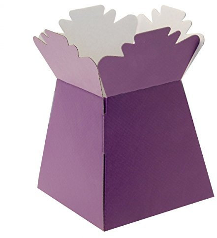 APAC Purple Living Vase Flower Box Flower Bouquet Transporter, Sweet Tree Box