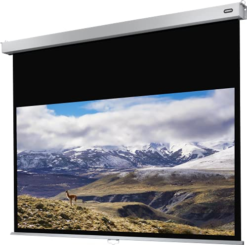 celexon Professional Plus Rollo-Leinwand 130 | 280x158 cm 16:9 | manuell ausziehbare 4K, Full-HD Beamer-Leinwand für Büro-Präsentationen & Heimkino-Projektionen | Wand- & Deckenmontage