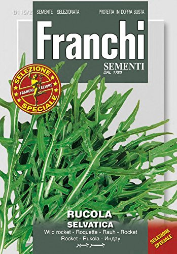 SEMENTI DA ORTO DI QUALITA' AD USO HOBBYSTICO IBRIDE E SELEZIONI SPECIALI IN CONFEZIONE PROTETTA IN DOPPIA BUSTA (RUCOLA SELVATICA)