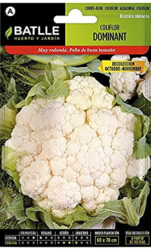 Semillas Batlle – coliflor Dominante de Chou-Fleur - Blanquita (Oct-nov), Verts