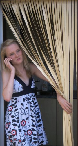 Heavy Duty Bug,Fly,Strip, Door Curtain -ALL CREAM (90cm wide)