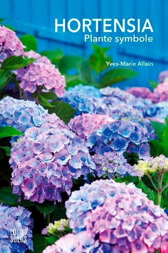 Hortensia: Plante symbole