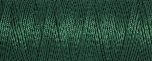 Gutermann 723878-340-1 Amazon Green R753 Nr. 40 Seidengarn, 30 m x 1 Spule