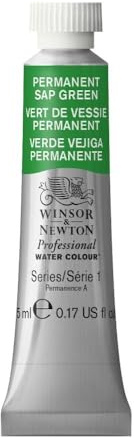 Winsor & Newton Acuarela Profesional - Pintura de Acuarela, Alta Luminosidad, Resistente a la Luz, Calidad de Archivo, Tubo de 5ML, Color Verde Vejiga Permanente