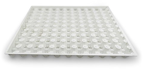 Wachteleierhorde Bruteier Wachteleier Bruteierlagerung