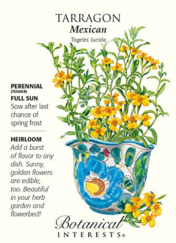 Semillas del estragón mexicano - 250 mg - Tagetes lucida