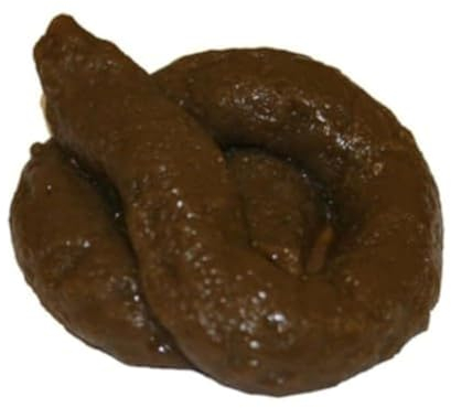 The Little Party Shop Sticky Soft Fake Dog Poo Turd Novelty Practical Joke Prank Fun