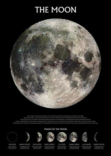 Pyramid International Phases The Moon Maxi Poster, Multi-Colour, 61 x 91.5 x 1.3 cm