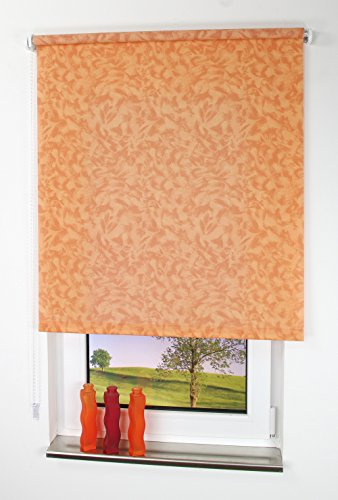 Liedeco® Rollo, Fenster Rollo, Kettenzug-Rollo / 62 x 180 cm (Breite x Höhe), Terra Dekor Wolken/Stoff mit Dekor, Lichtdurchlässig, Blickdicht/viele Farben, Größen und Typen/Breiten 60-200 cm