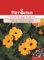 Schwarzäugige Susanne Samen Schlingpflanze Kletterpflanze Orangefarbige Blüten ca 30 Korn Saatgut Blumensamen Garten Hochbeet Kübel Dürr Samen