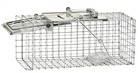 Havahart 1083 Jaula Trampa Fácil Montaje 1-Puerta para Ardillas y Ratas.