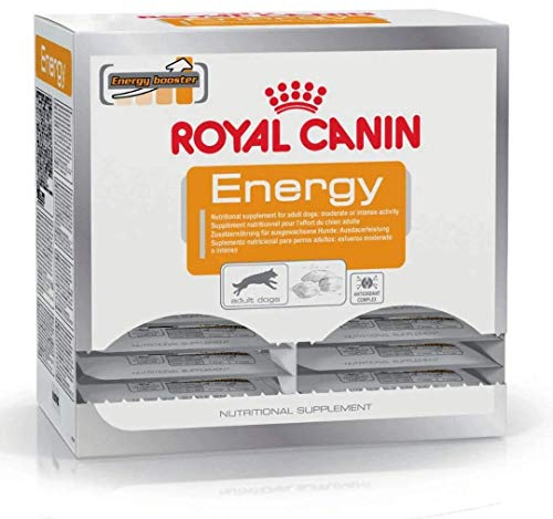 Royal Canin Hundesnack Energy 50g, 30er Pack (30 x 50 g)