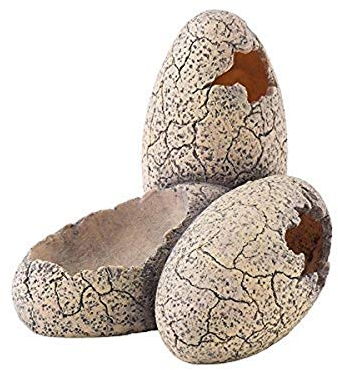 Exo Terra Dinosaur Eggs, Dinosaurier Eier, Versteckmöglichkeit und Wassernapf für Terrarienbewohner, klein