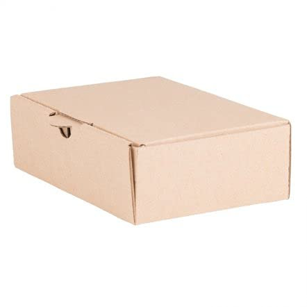 4400 Boîtes aux lettres maxi 160 x 110 x 50 mm, Emballage Boîte D'envoi en Carton ondulé carton Caisse Lettre Maxi Suisse