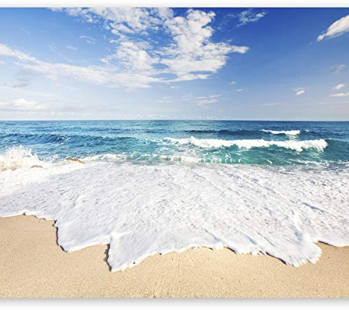 Fotomurales B&D XXL - 400x280 cm XXL Papel pintado tejido no tejido Decoración de Pared decorativos Murales moderna de Diseno Fotográfico - playa mar naturaleza c-B-0035-a-a #01
