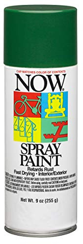 Krylon Now Spray Paint, Gloss, Hunter Green, 9 oz