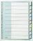 Leitz Register für A4, Deckblatt aus Karton und 10 Trennblätter aus Kunststoff, Taben mit auswechselbaren Einsteckschildchen, Grau, Robuster Kunststoff, 12700000