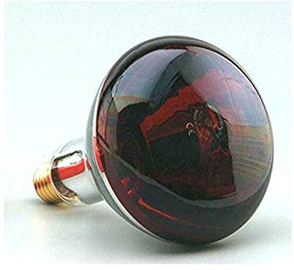 F BRIGHT Lampada Infrarossi E27 250W Rosso 12.5 cm