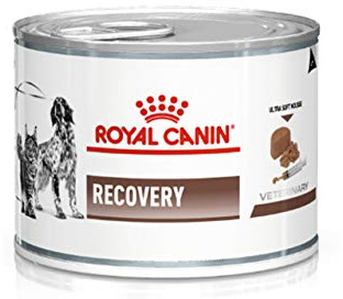 Royal Canin Veterinary Recovery | 12 x 195 g | Aliment Complet diététique pour Chiens et Chats Adultes | Mousse Ultra Douce à Haute teneur en protéines
