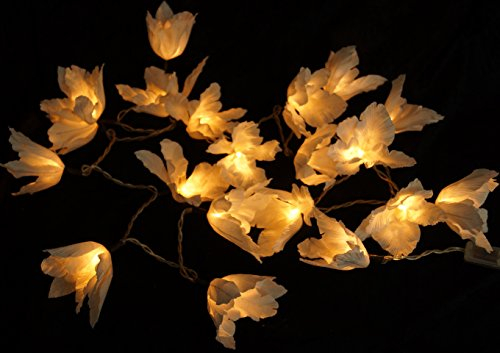 GURU SHOP Lotus Blüten LED Lichterkette 20 Stk. - Blüte Weiß, Papier, 6x6x350 cm, Lichterketten
