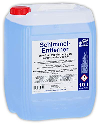 Assindia Professional chlorfrei 10l