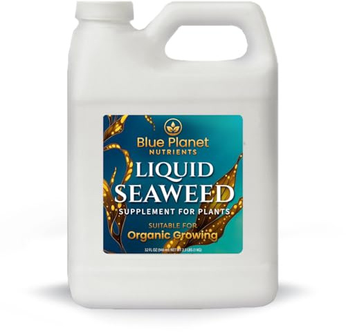 Liquid Kelp Seaweed Fertilizer Concentrate - Blue Planet Nutrients Ascophyllum Nodosum Liquid Seaweed Supplement - Makes 470 Gallons - Quart (32 oz)