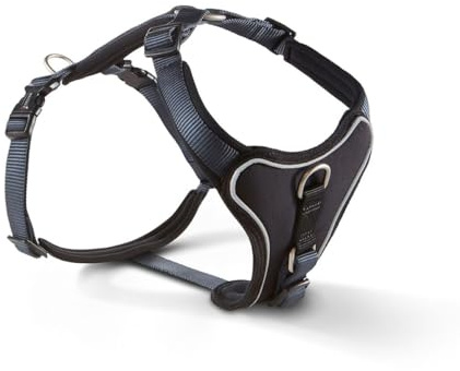 Wolters | Geschirr Professional Comfort graphit/schwarz | Brustumfang 30 - 35 cm