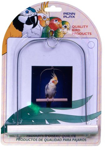 Penn-Plax Penn Plax Cockatiel Bird Swing