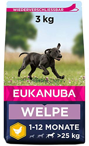 Eukanuba Welpenfutter mit frischem Huhn für große Rassen, Premium Trockenfutter für Welpen, 3 kg