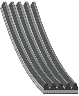 FEBI BILSTEIN 28856 Keilrippenriemen