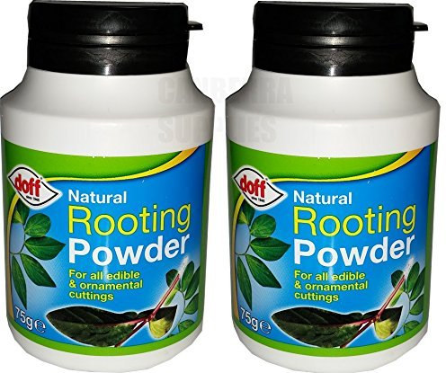 Doff 2 x Natural Rooting Powder for Edible & Ornamental Plants 75G - Dipping Pot
